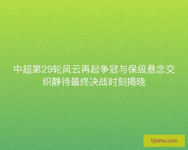 中超第29轮风云再起争冠与保级悬念交织静待最终决战时刻揭晓