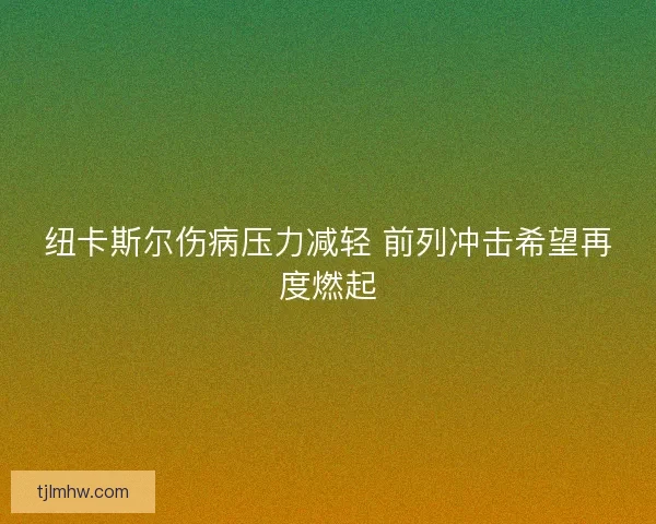 纽卡斯尔伤病压力减轻 前列冲击希望再度燃起